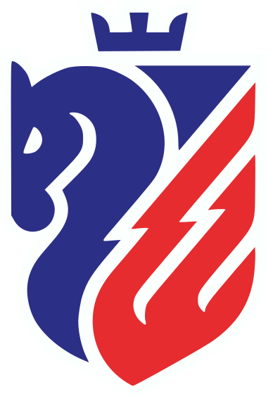 FC Botosani